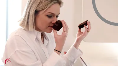 Unveiling the Secrets of Our Sensory Panel