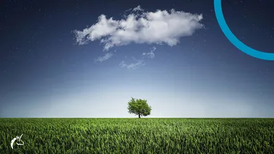 Contributing to a more sustainable food ecosystem