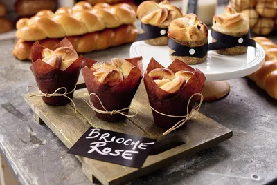 Sapore Carmen 50 Sourdough