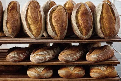 Sapore Oracolo Sourdough