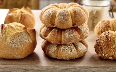 Sapore Rigoletto Sourdough