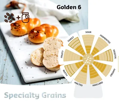 Softgrain Golden 6 CL