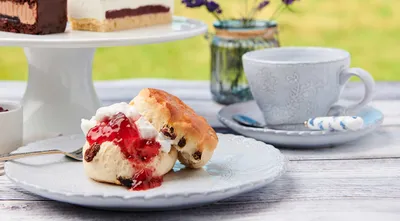Puratos Scone Mix