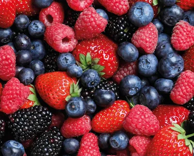 Puratos UK local and sustainable fruit sourcing programme