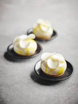 Carat Cover White Compound Coating