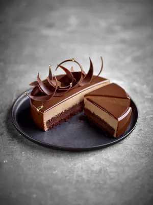 Carat Cover Dark U2 | Chocolate