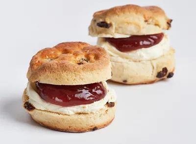 Puratos Scone Mix