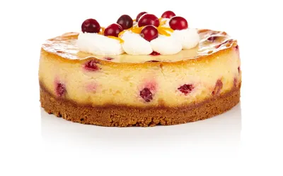 Classic Orange | Patisserie