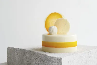 Satin Crème Cake Coconut