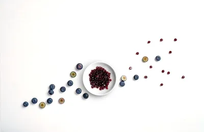 Smoobees Blueberry Filling Pearls