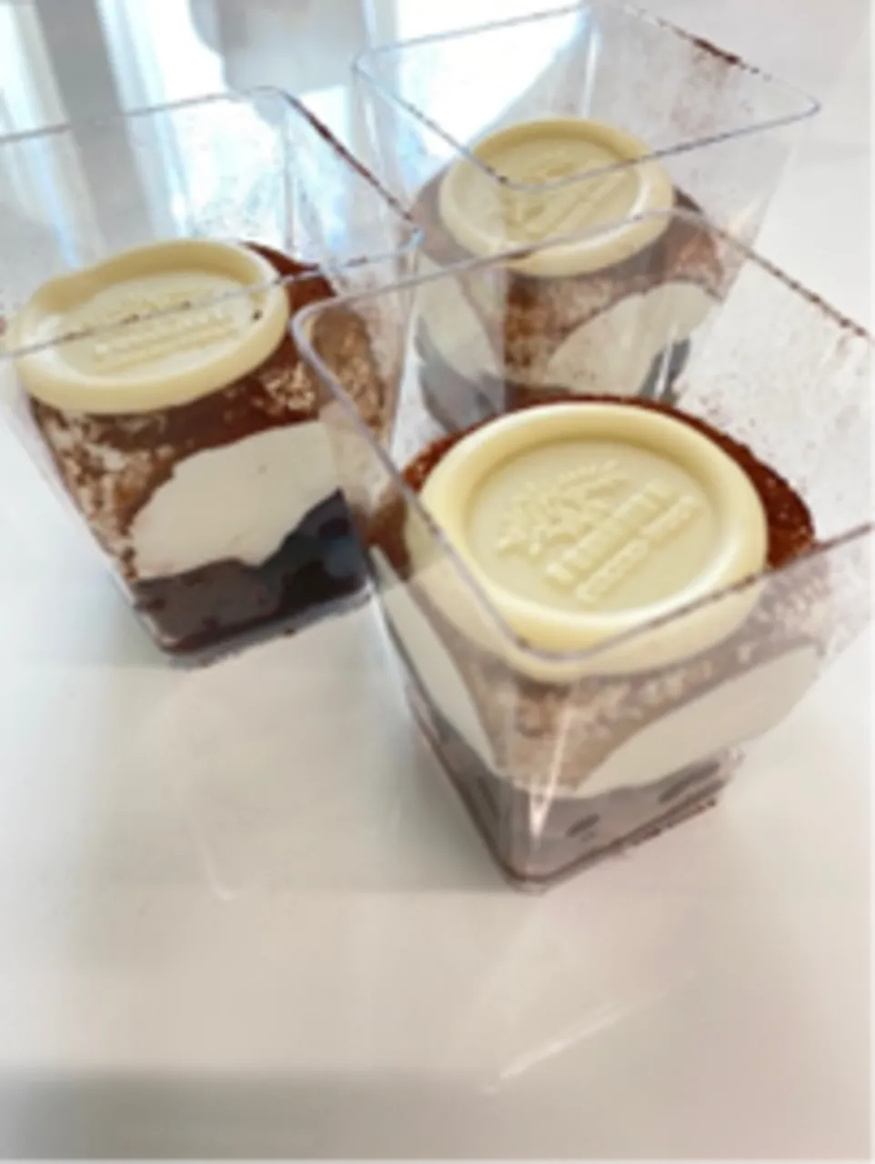 Plant Forest Gateau - Puratos