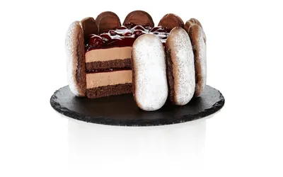 Tegral Chocolate Sponge | Patisserie